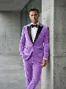 Male_model_wearing_lavender_suit_202606031837_2.webp