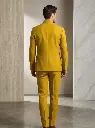 Male_model_wearing_yellow_jacket_202606032240_2 - Copy.webp