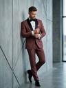 Modern Mauve Shawl Collar Suit Set